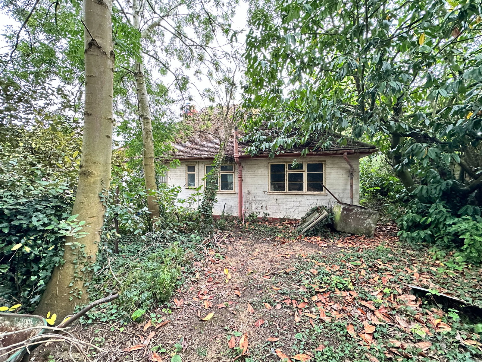 Bungalow in Halstead