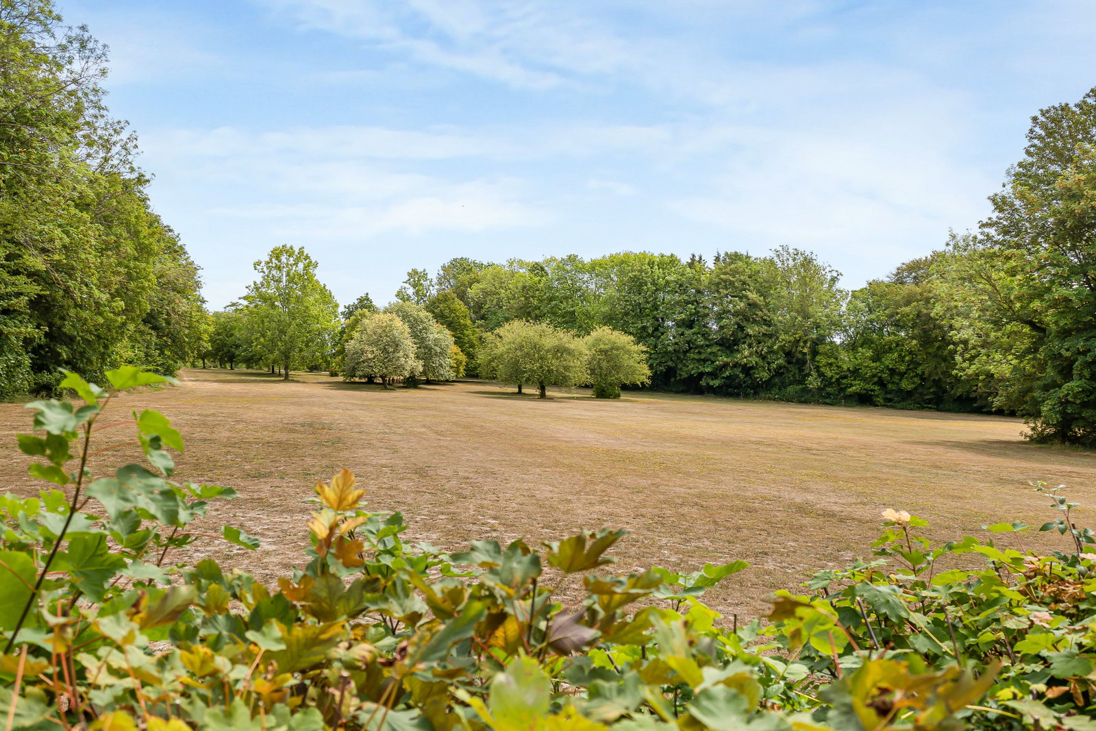 Bungalow in Sevenoaks 2