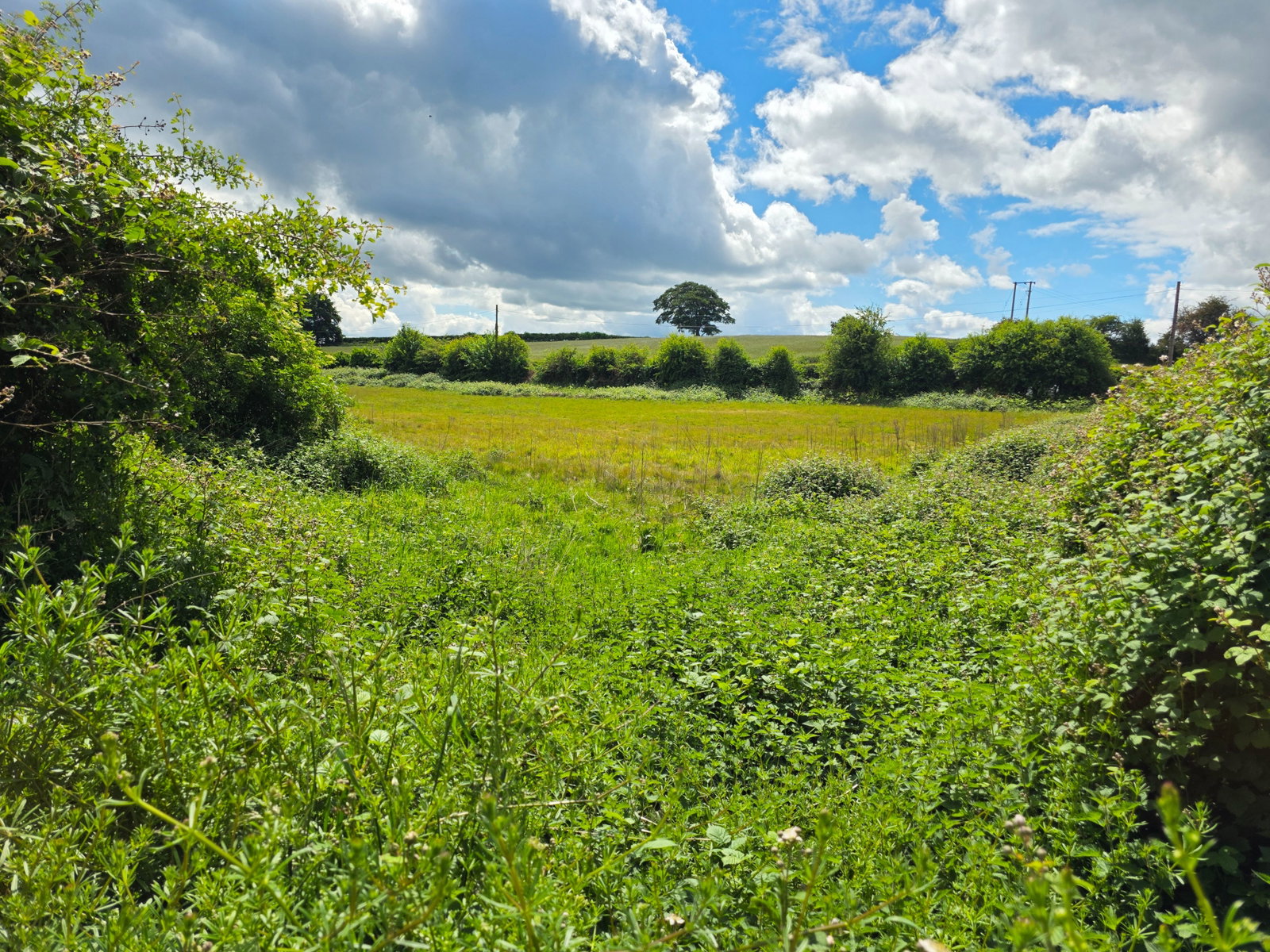 Land in Nottingham