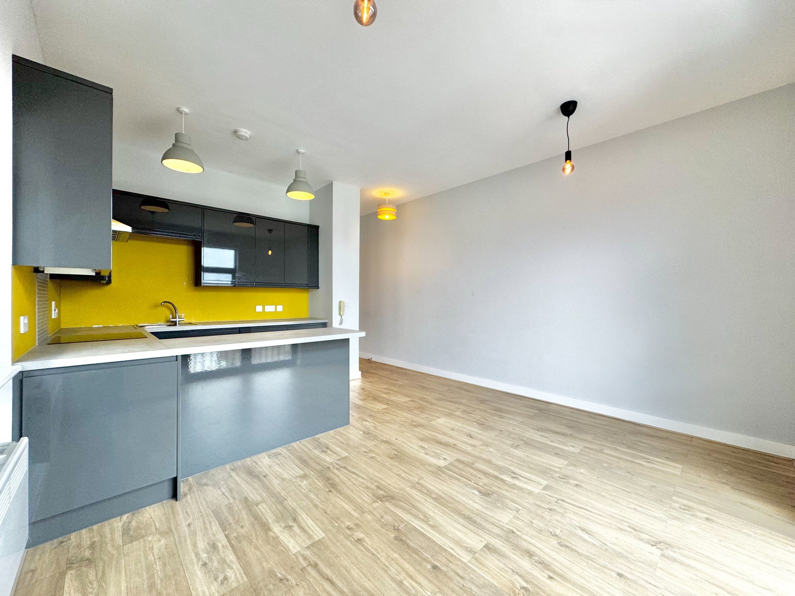 Flat in Barry