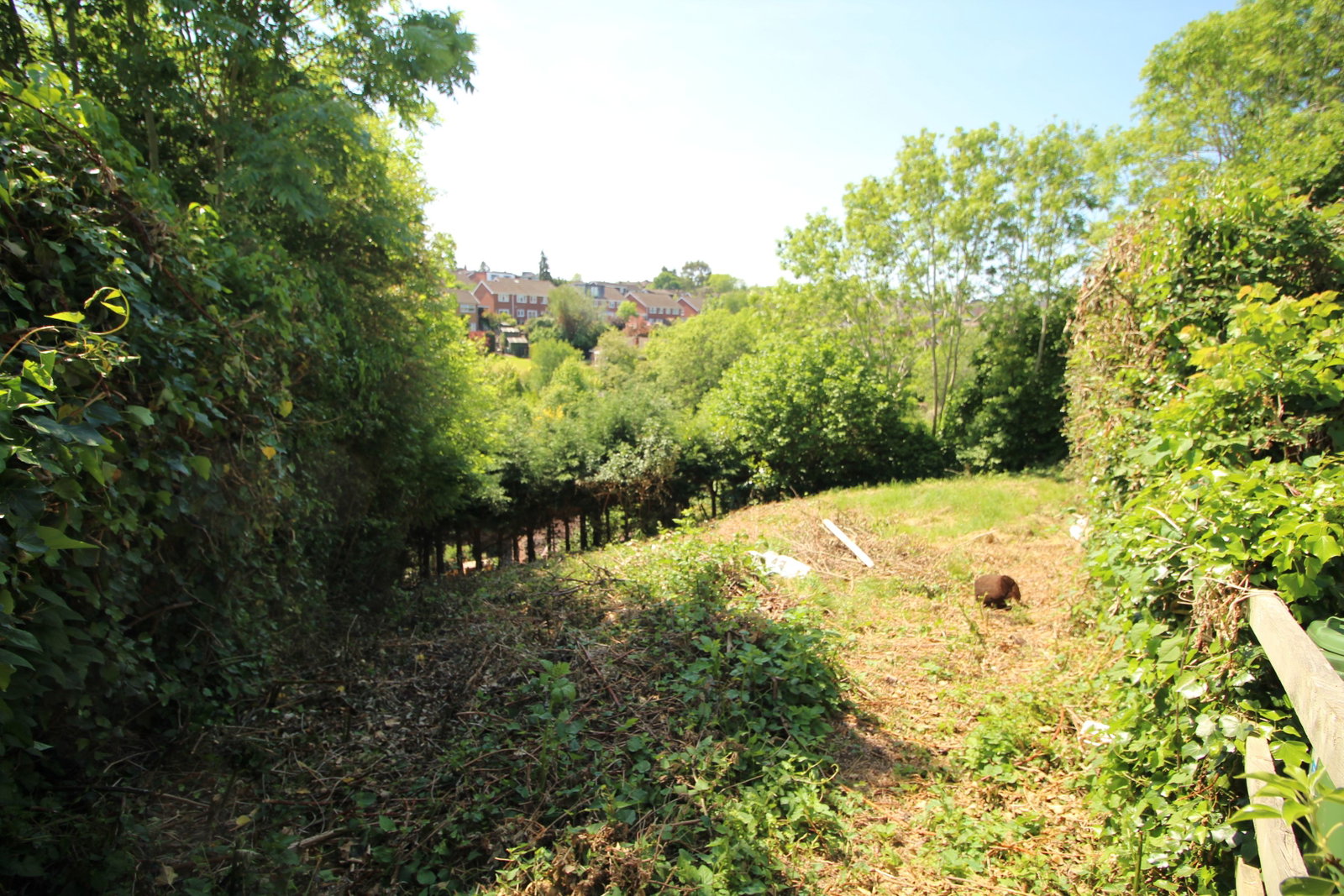Land in Bewdley
