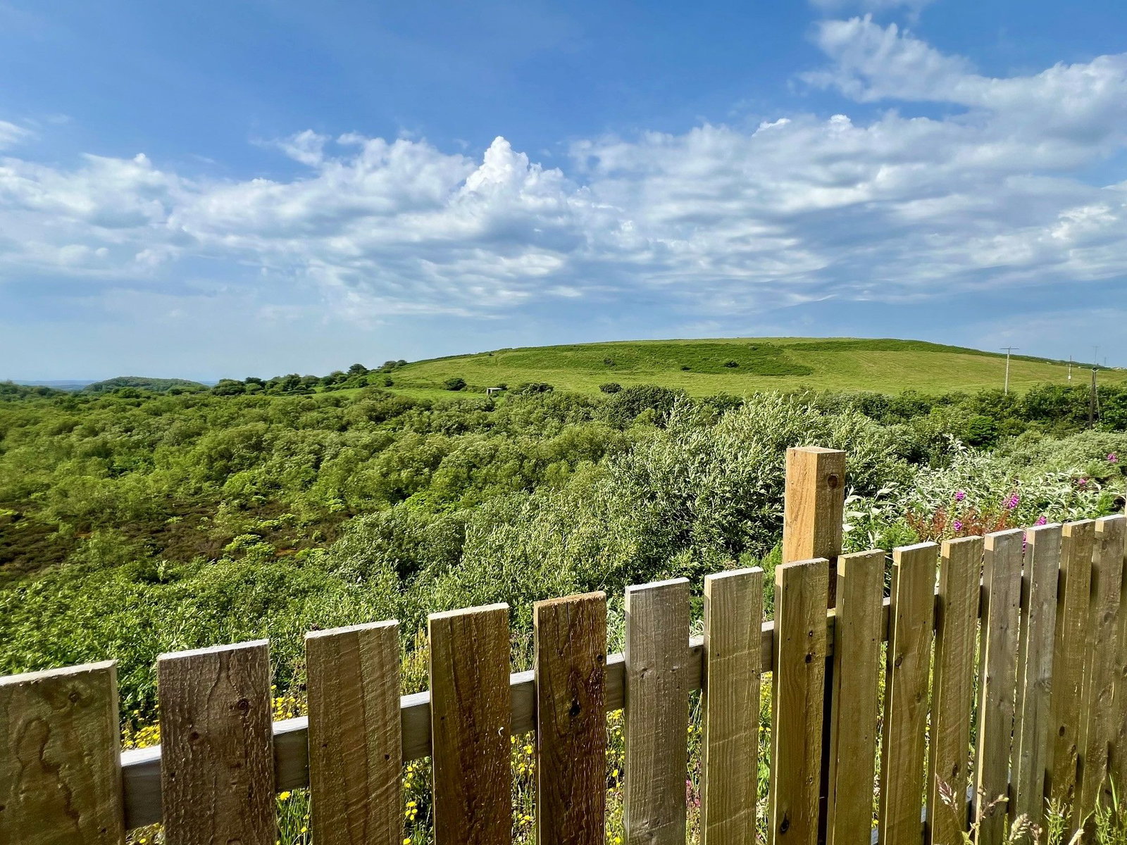 Detached House in St Austell