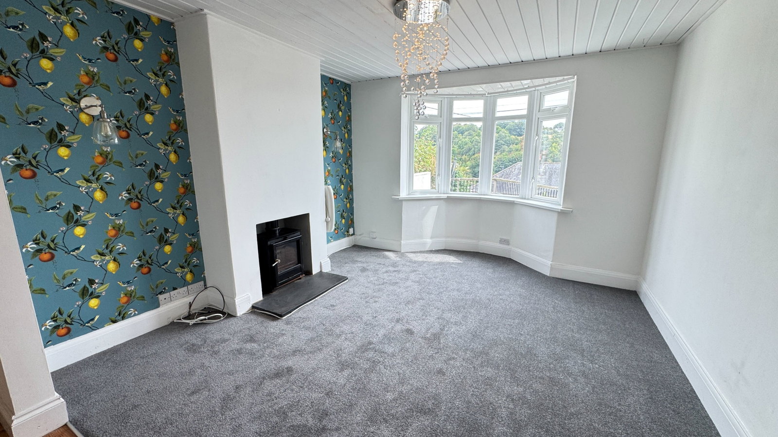 Semi Detached House in Tavistock 5