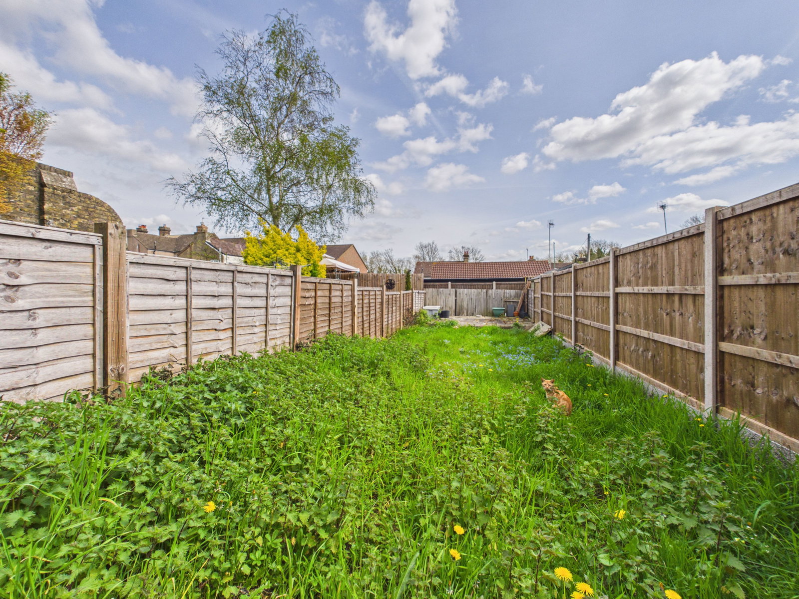 Terraced House in Rochester