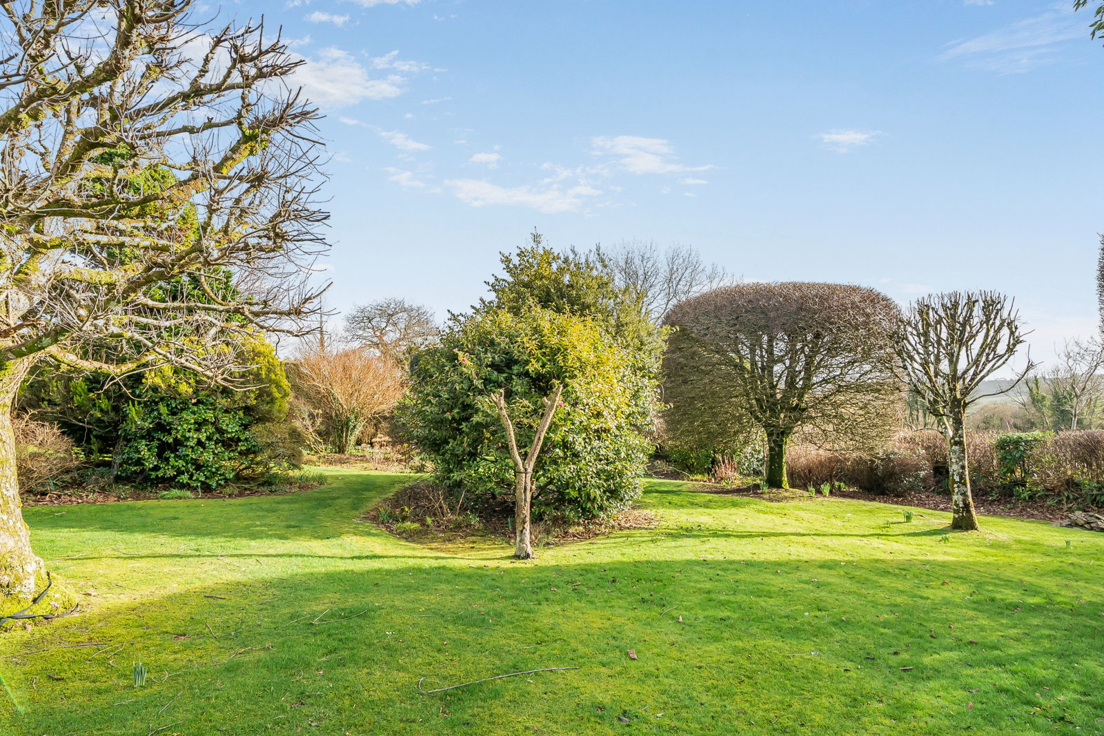 Bungalow in Callington