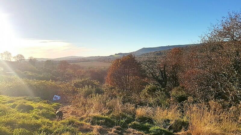 Land in Neath