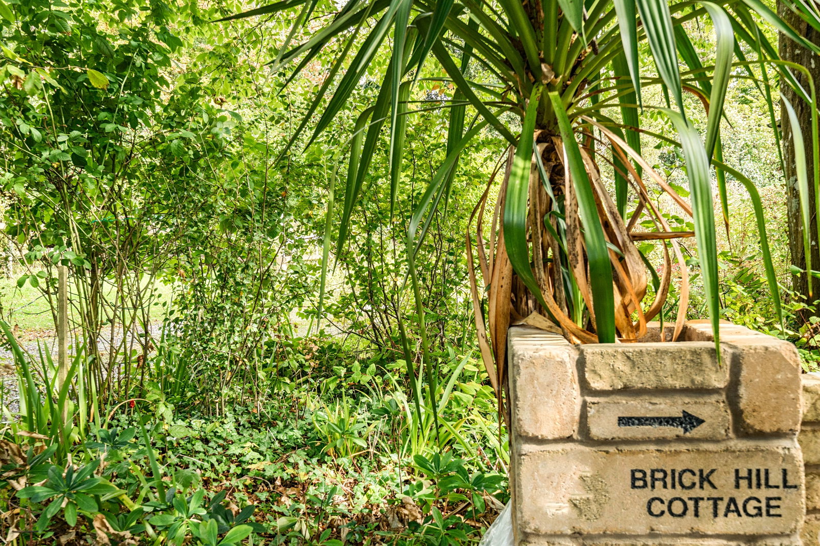 Bungalow in Warminster