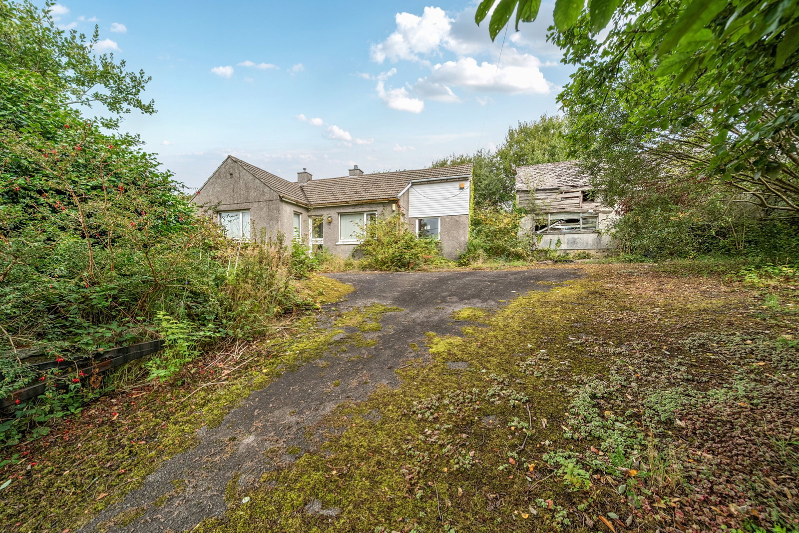 Plot in Gunnislake