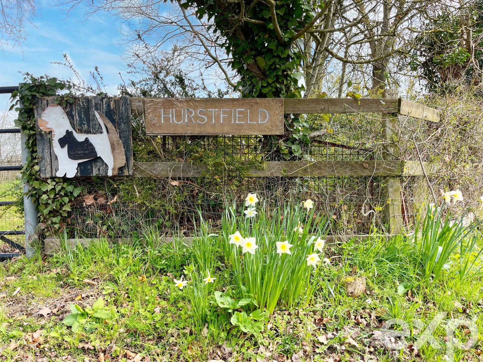 Detached House in Tonbridge