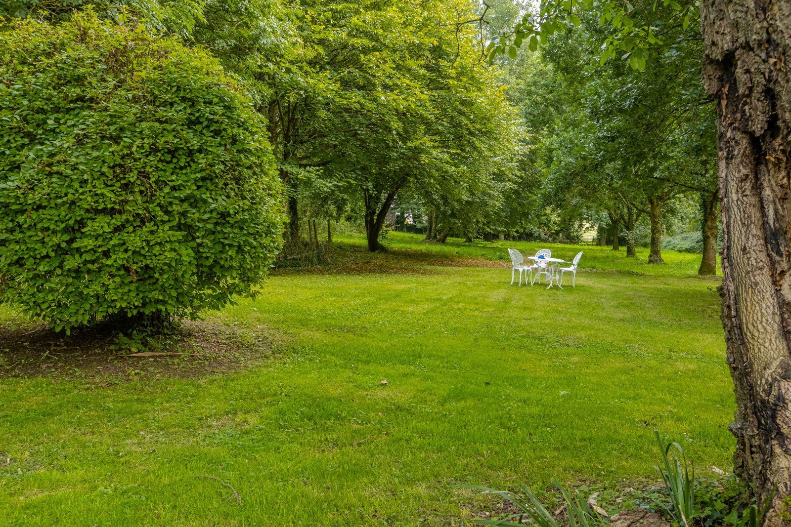 Detached House in Honiton