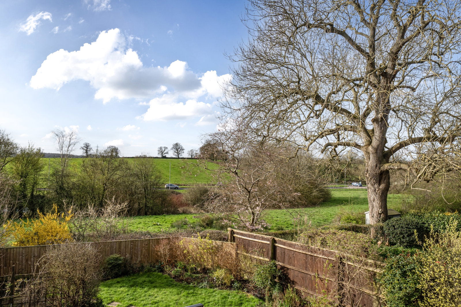 Detached House in Pewsham