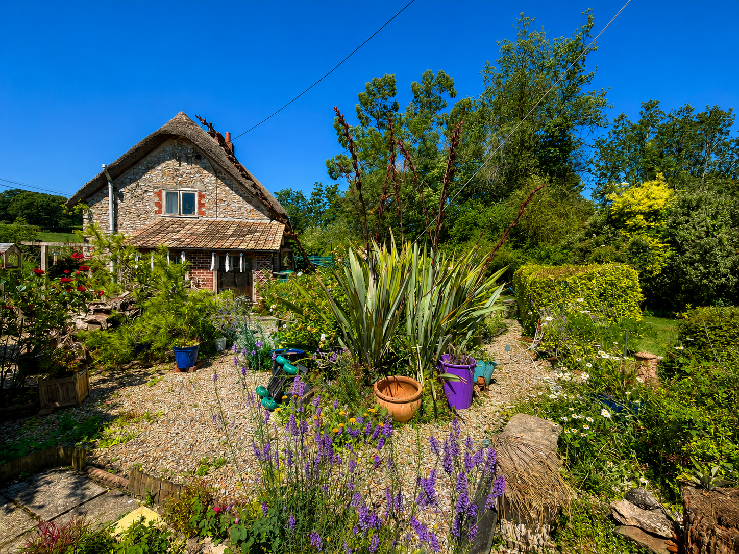 Detached House in Colyton