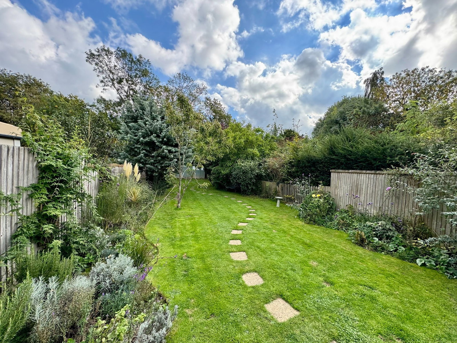 Semi Detached House in Ashford