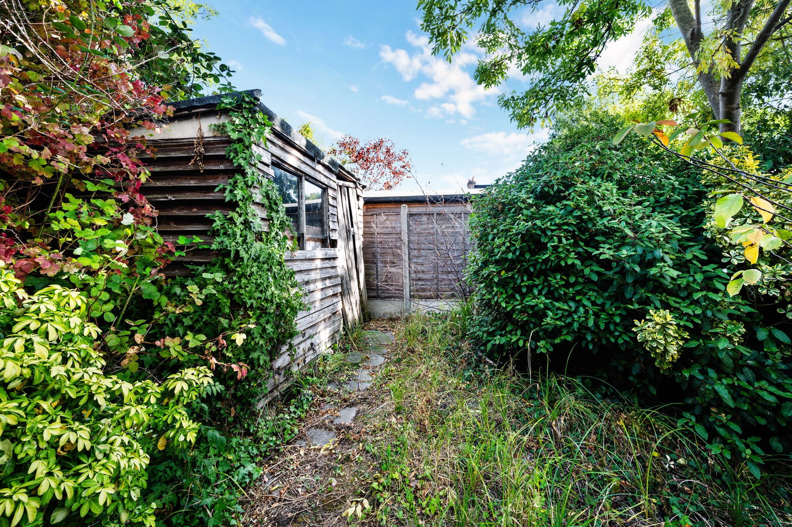 Terraced House in London