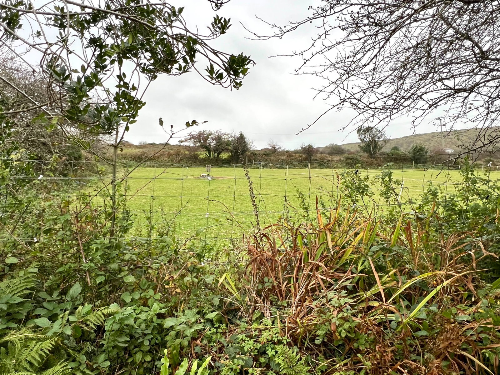 Detached House in St. Austell