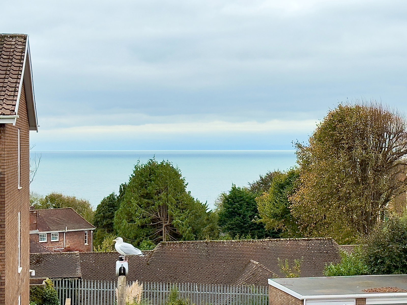 Flat in Swansea