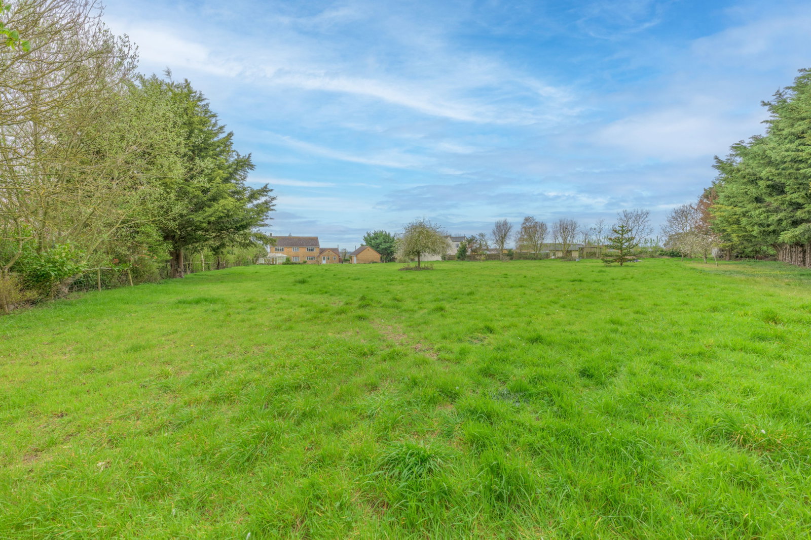 Detached House in March