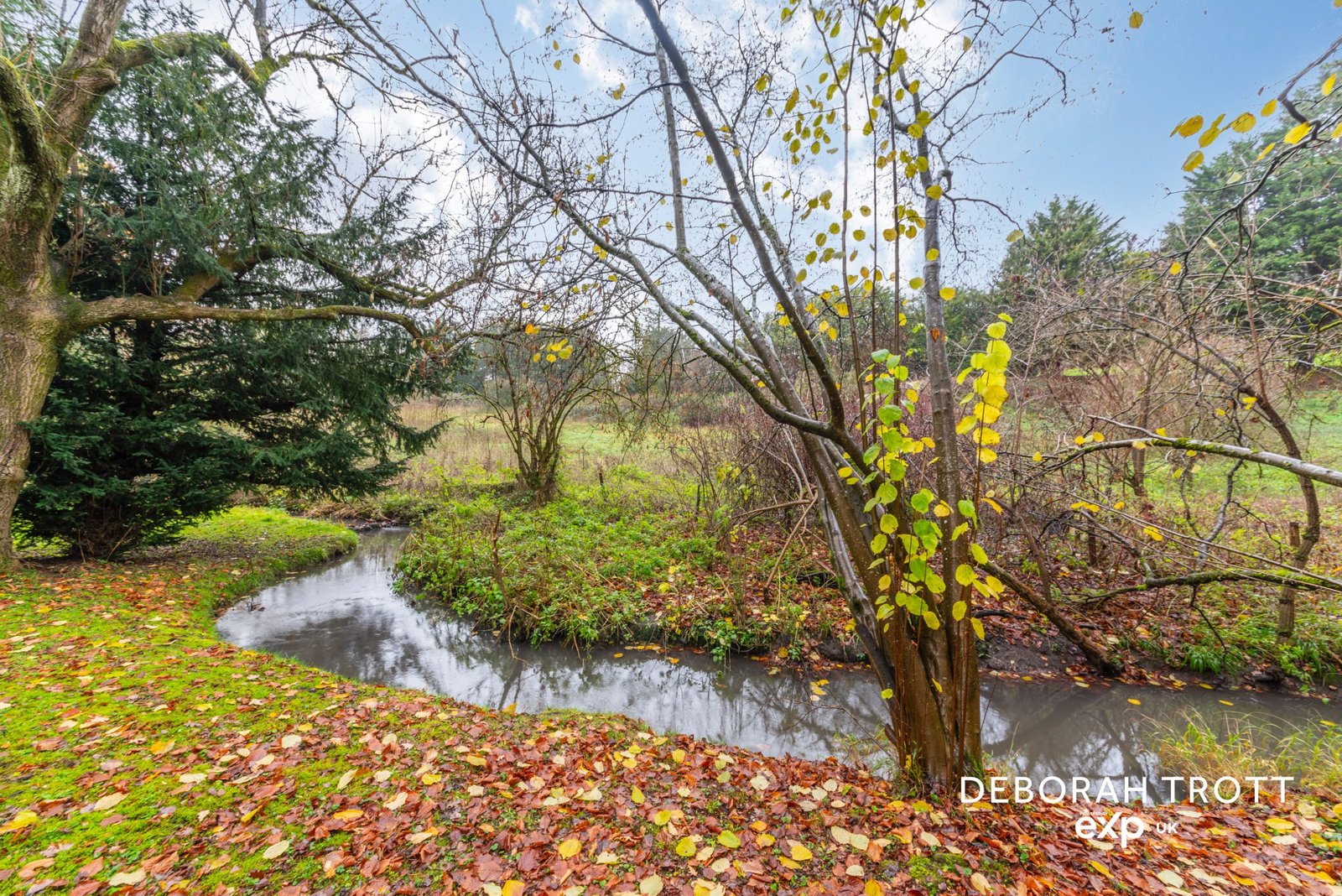Detached House in West Malling