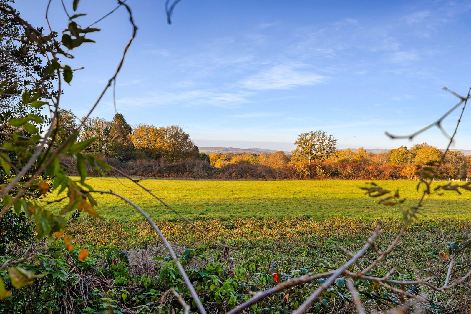 Detached House in Lingfield 5