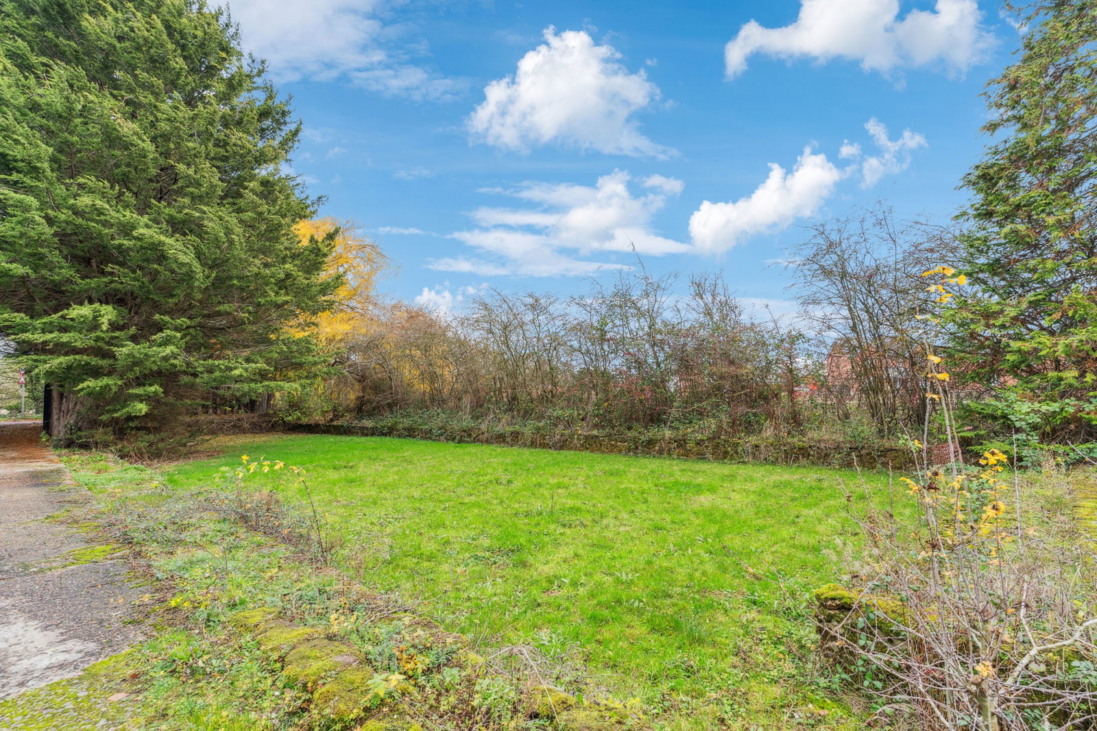 Plot in Henlow