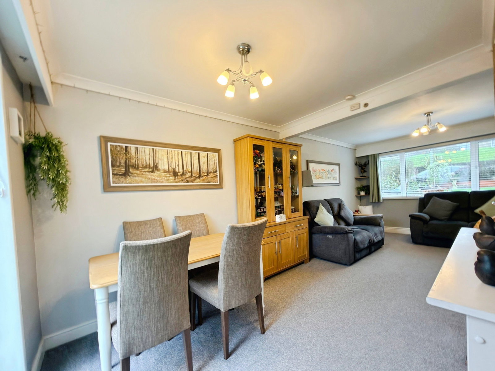 Terraced House in Exeter