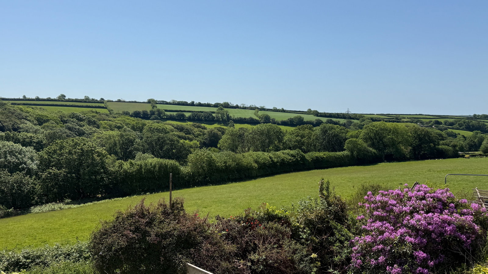 Terraced House in Ivybridge