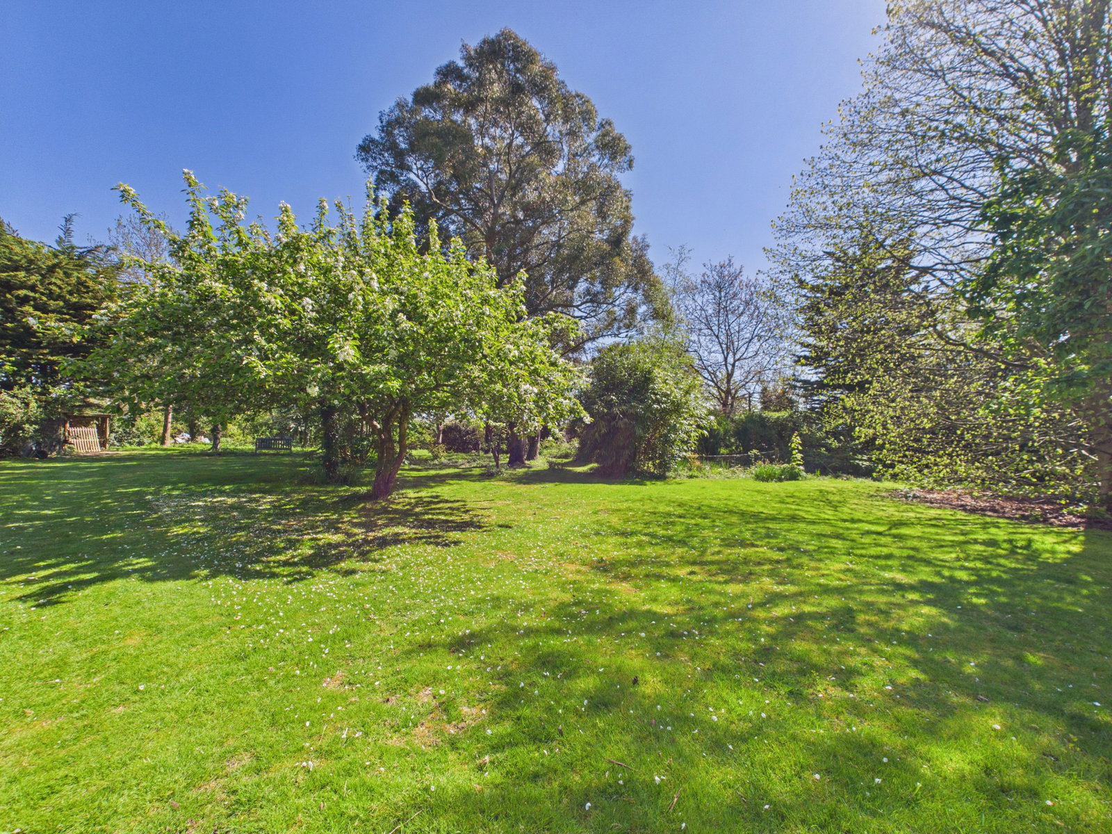 Detached House in Colchester