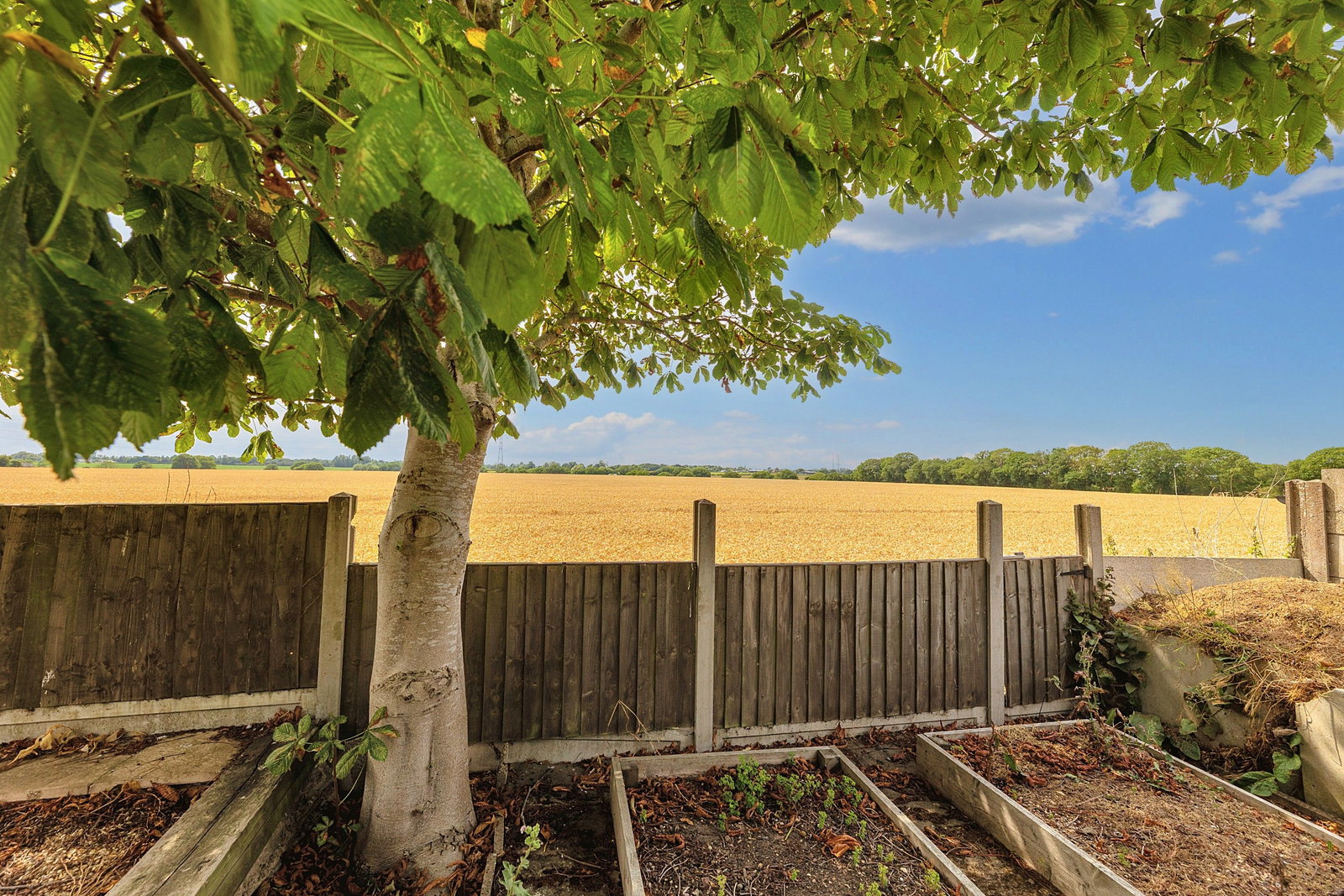 Bungalow in Clacton-on-sea