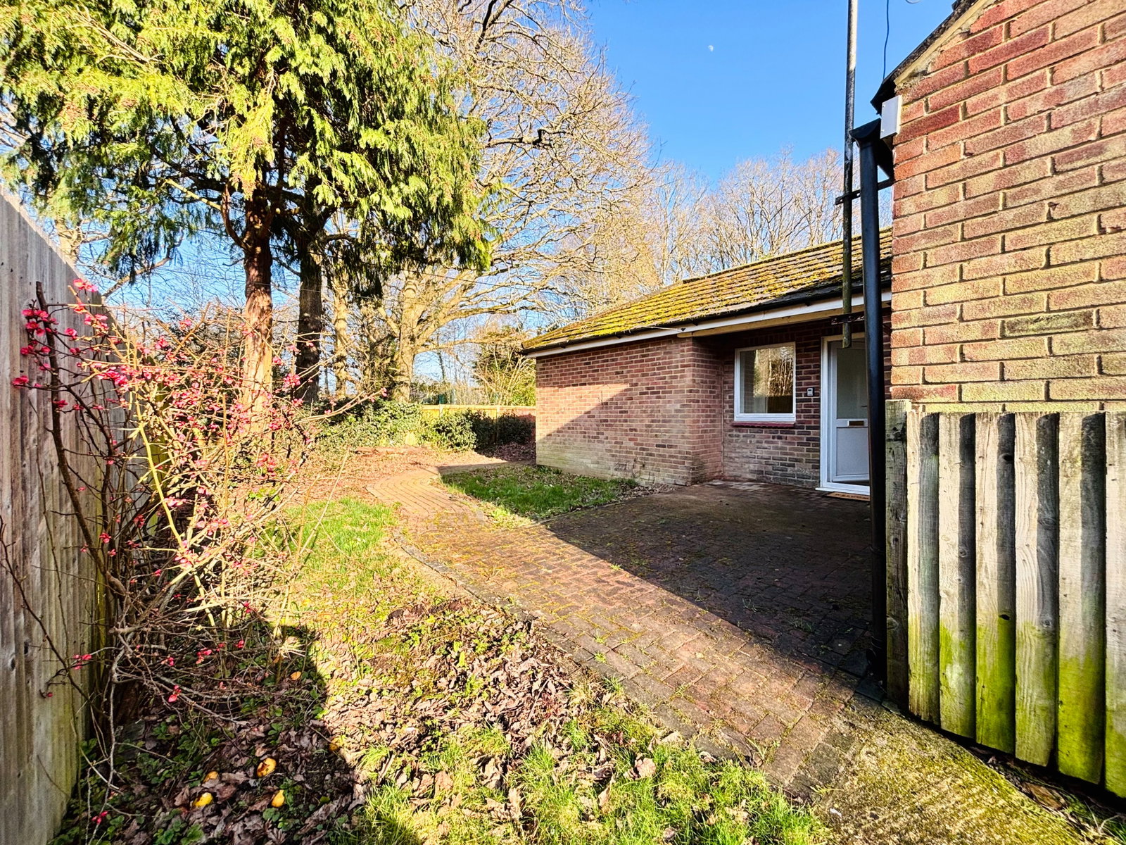 Bungalow in Ashford