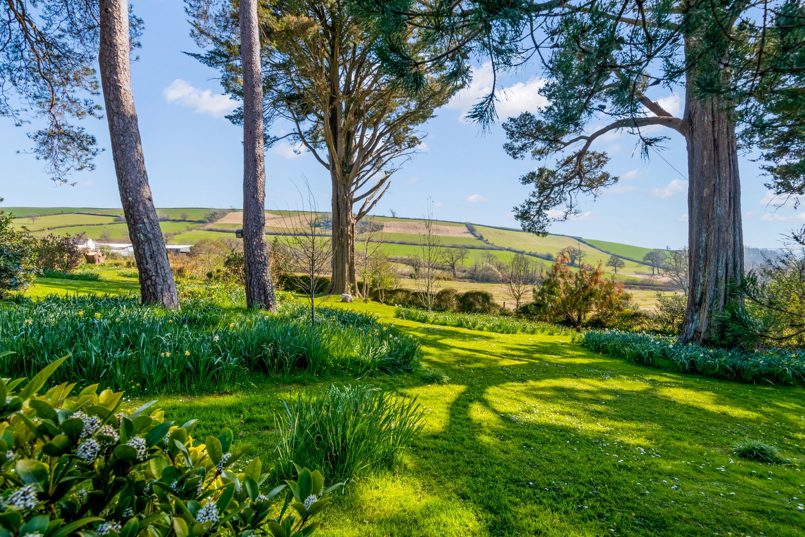 Detached House in Totnes 3