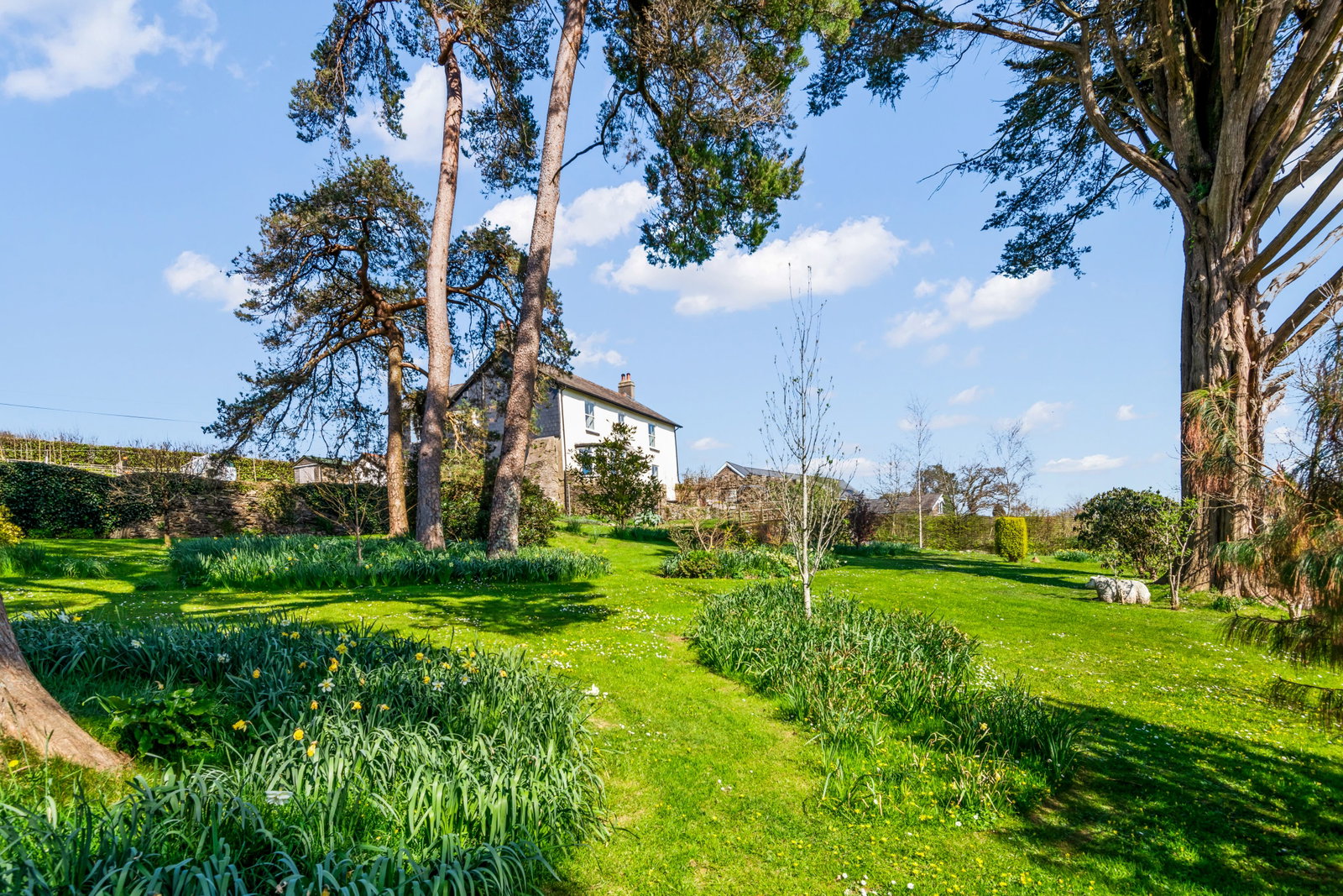 Detached House in Totnes