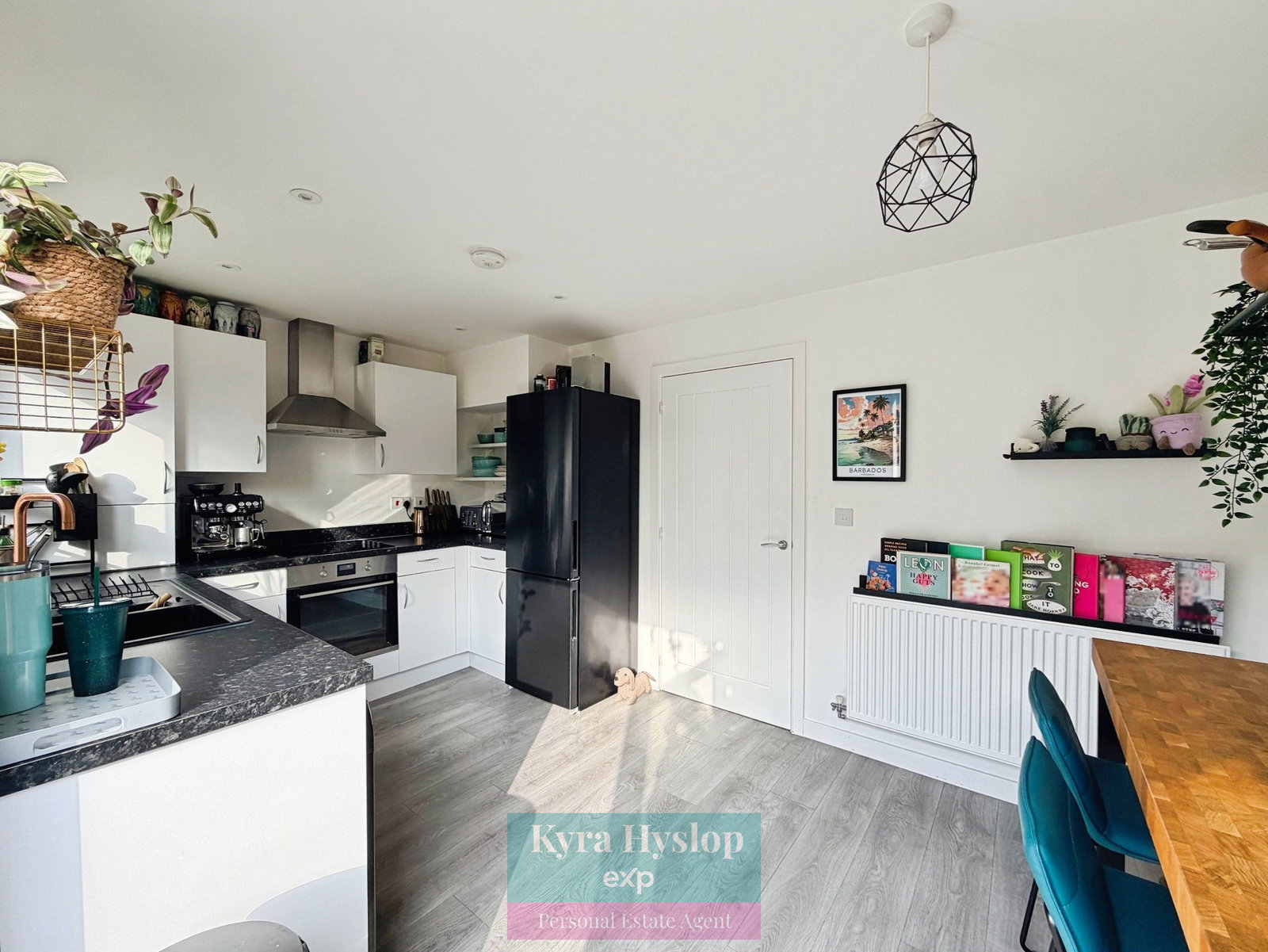 Terraced House in Exeter 