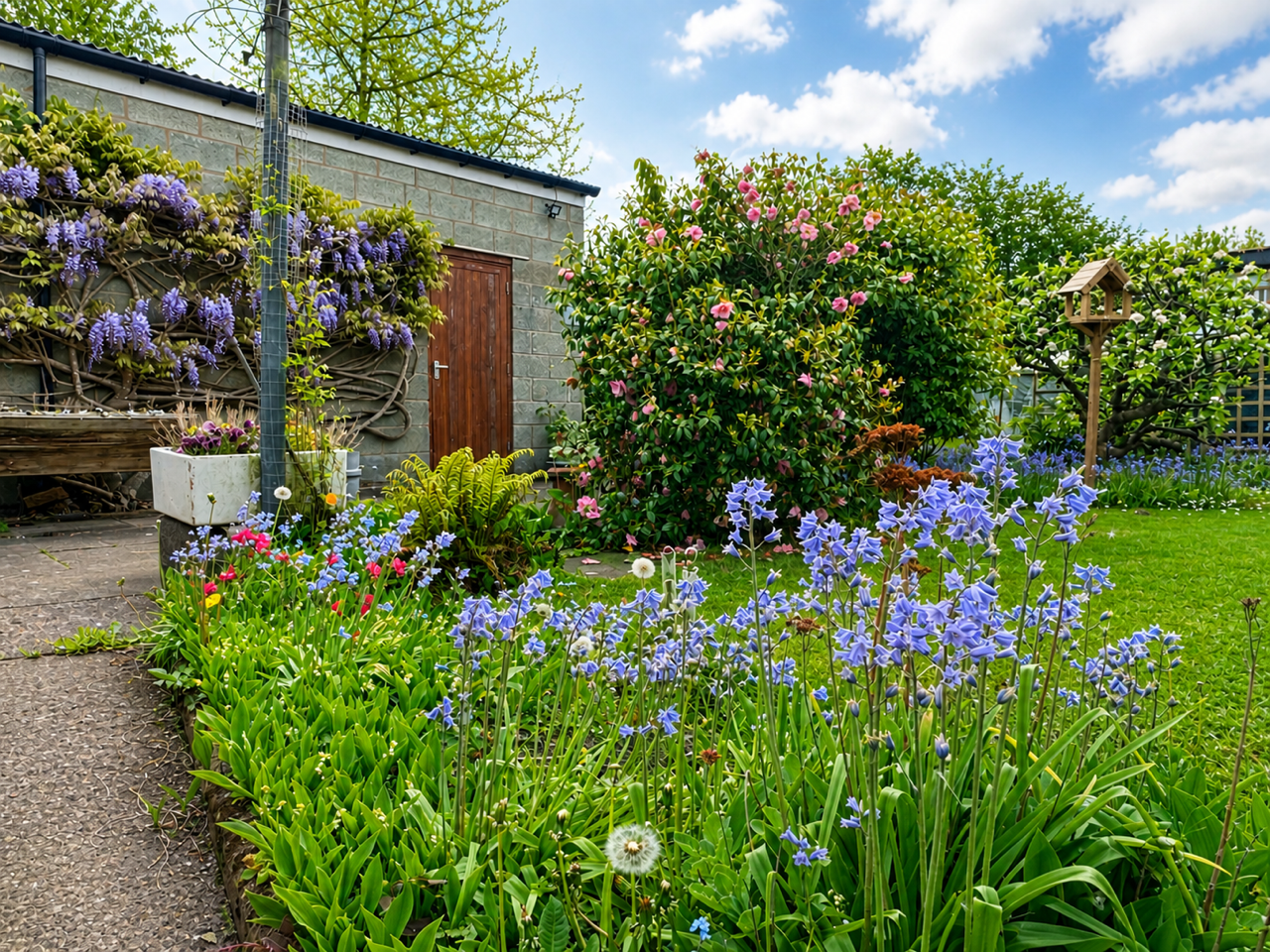 Detached House in Oswestry