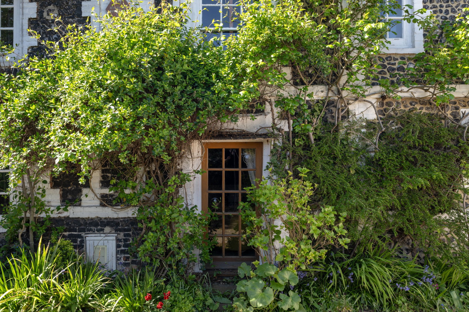 Detached House in Broadstairs