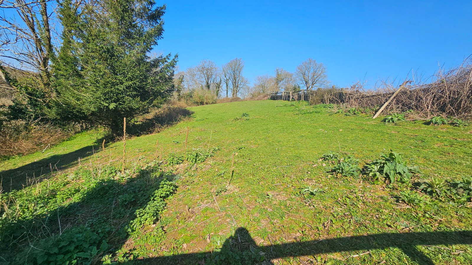 Bungalow in Liskeard