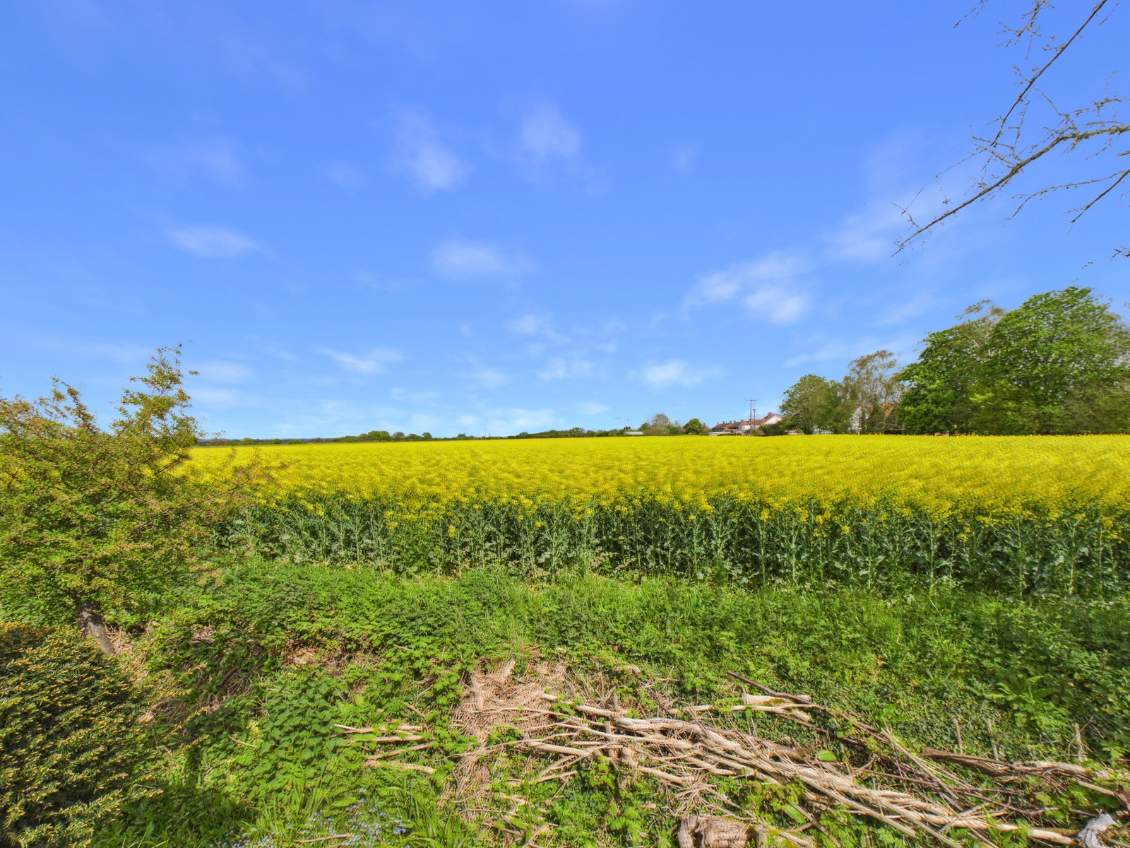 Link Detached House in Stowmarket