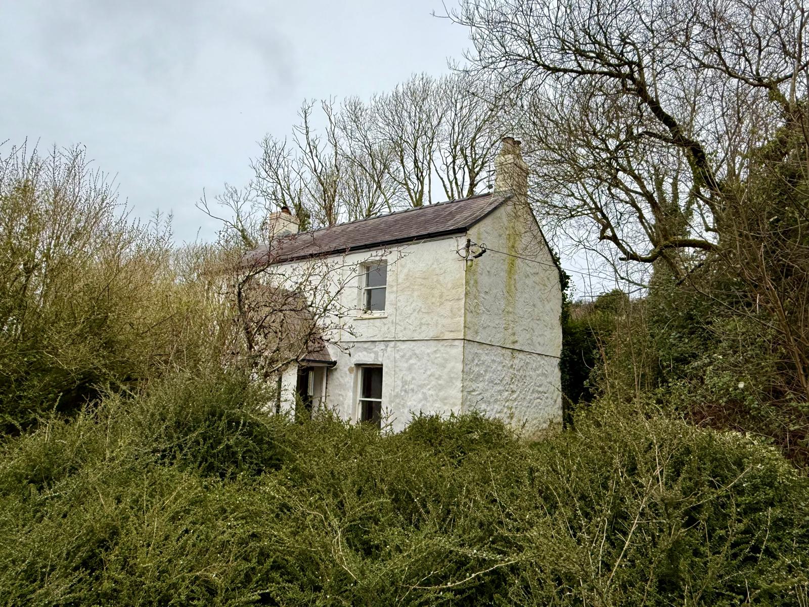Cottage in Swansea