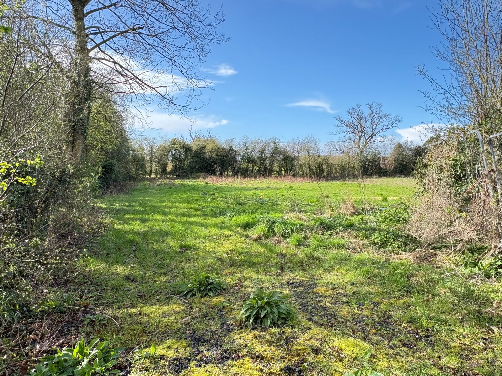 Land in Stafford 5