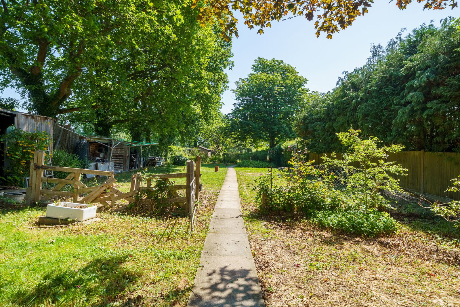 Detached House in Lingfield