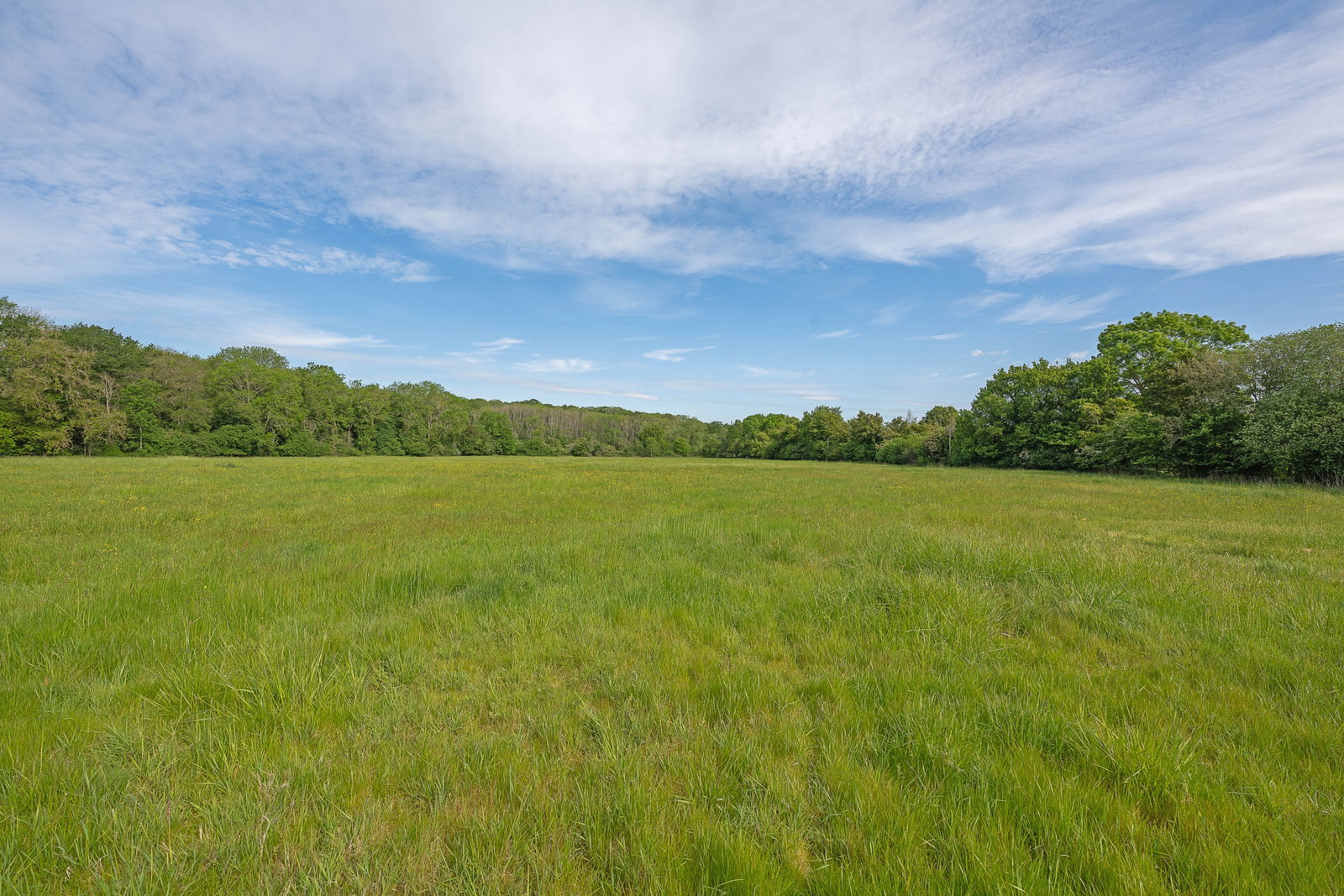 Detached House in Leatherhead