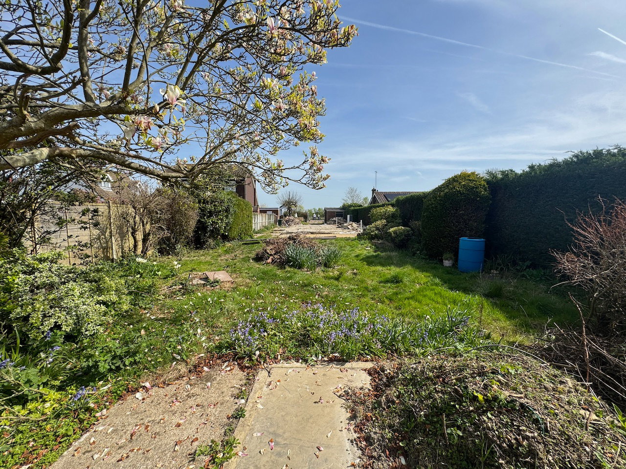Land in Ashford