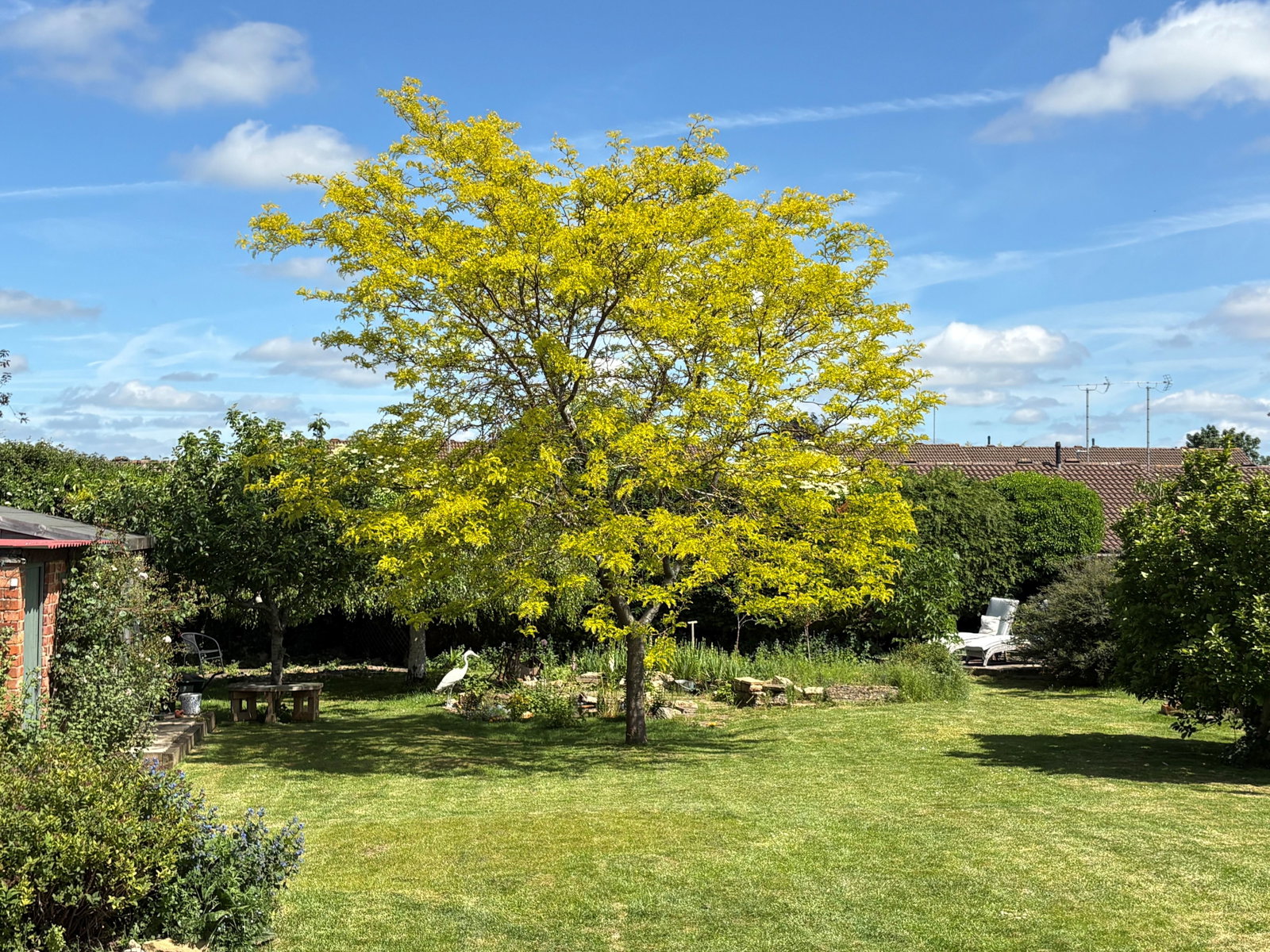 Detached House in Gloucester 3
