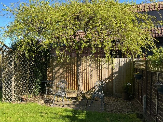 Semi Detached House in Reading