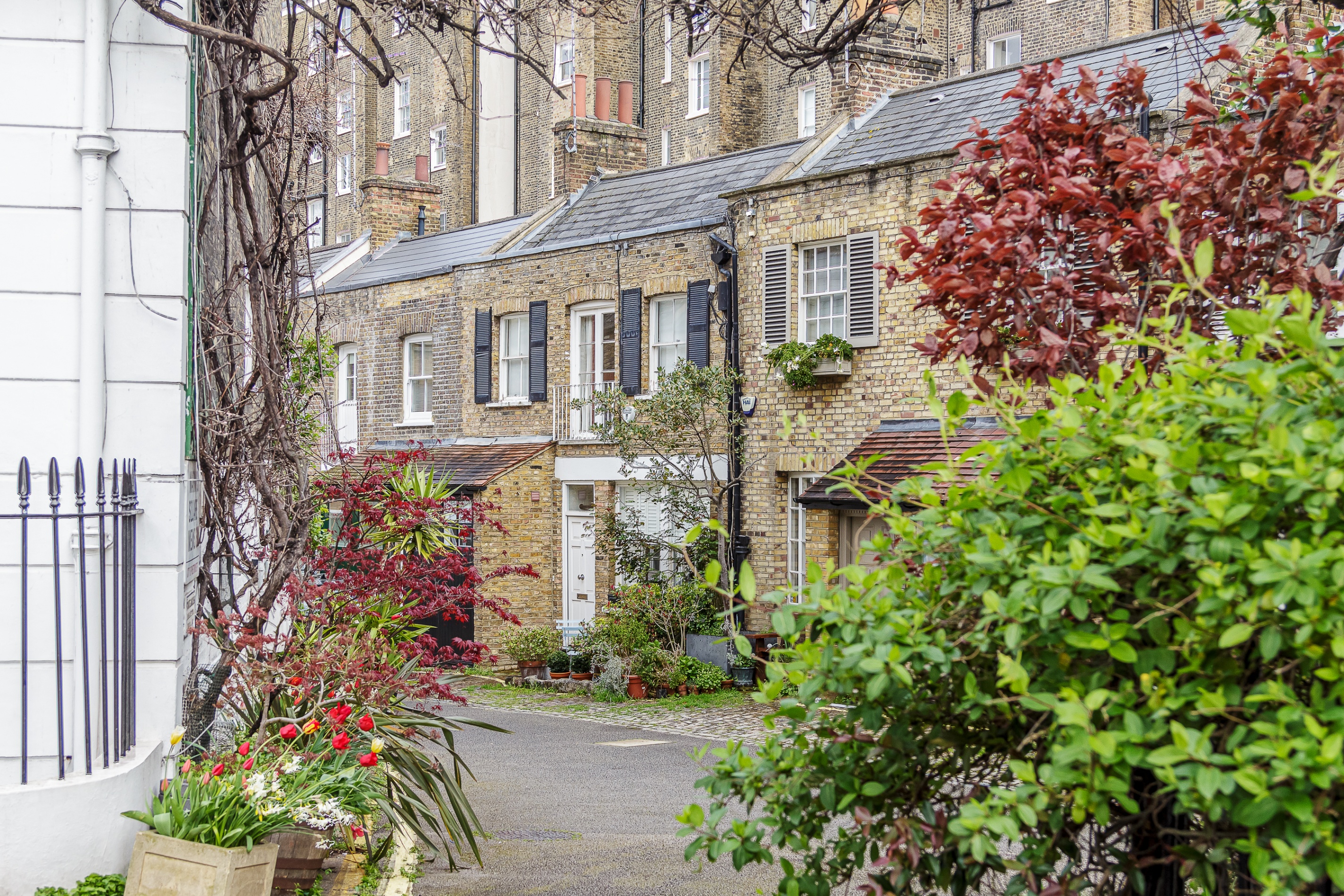 Mews House in London