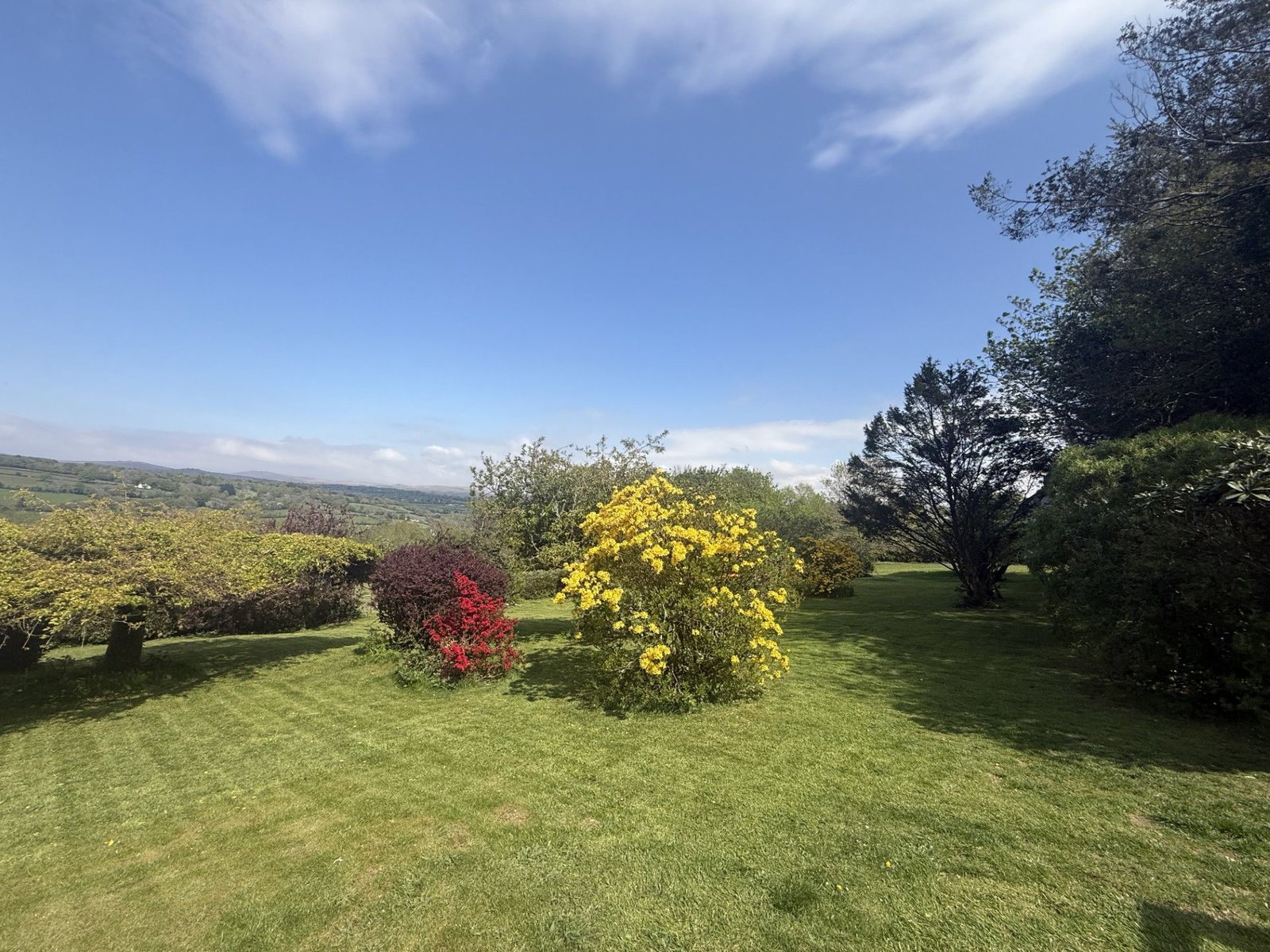 Detached House in Yelverton 2