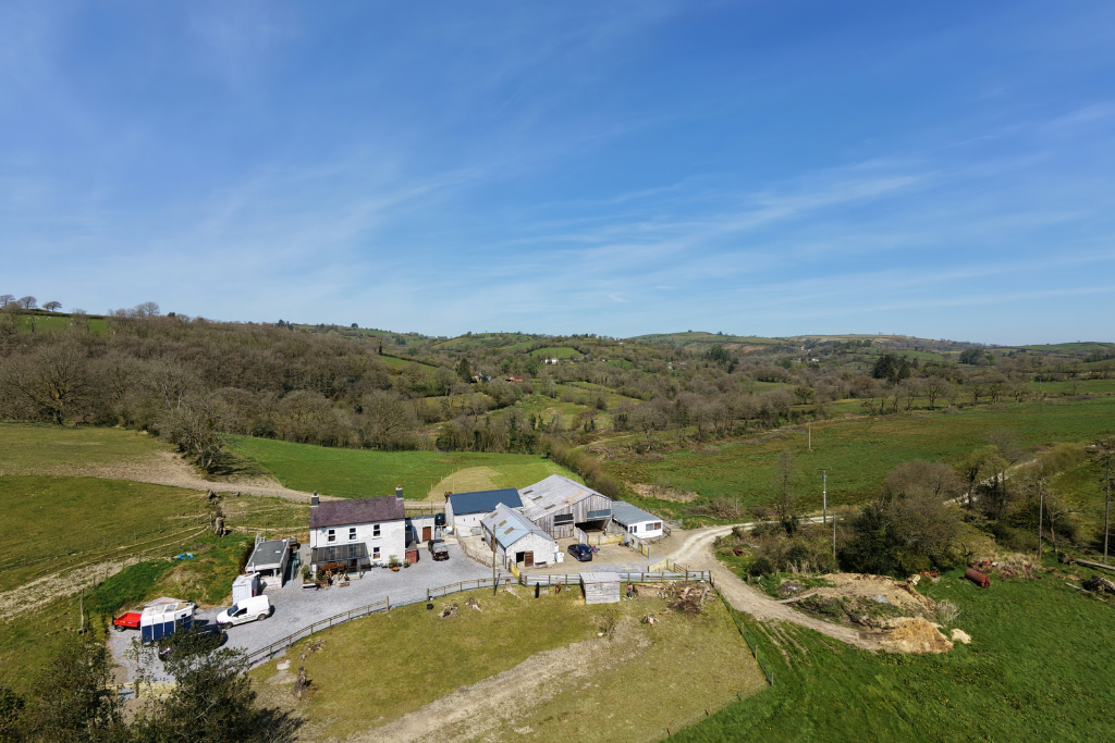 Equestrian in Llandeilo