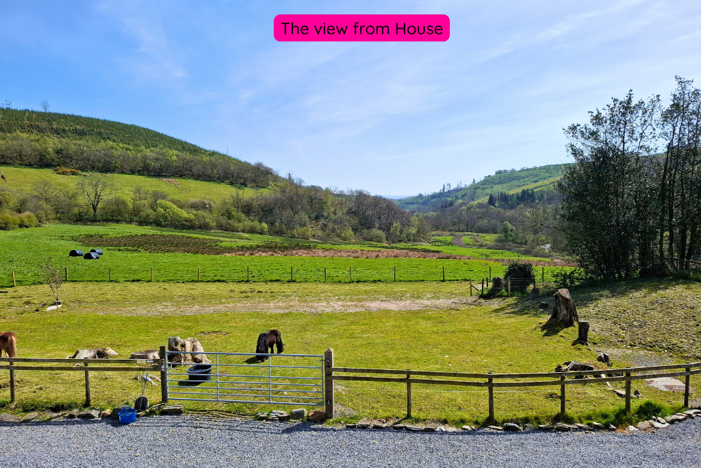 Equestrian in Llandeilo
