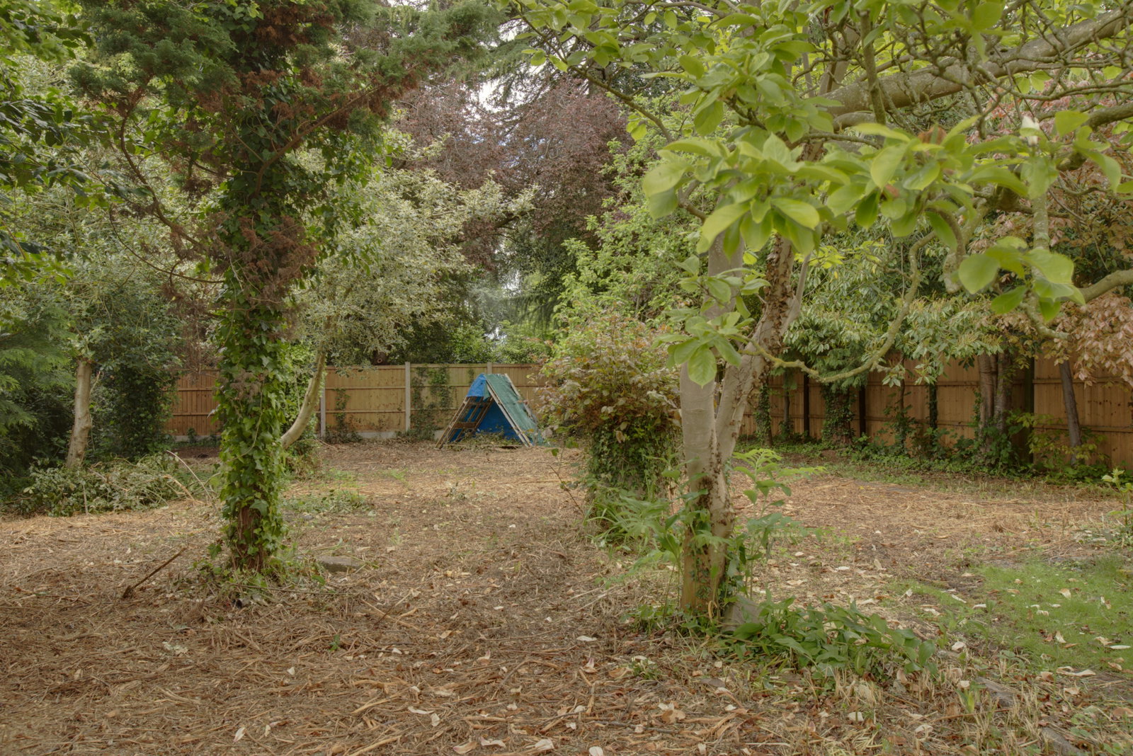Detached House in Nottingham