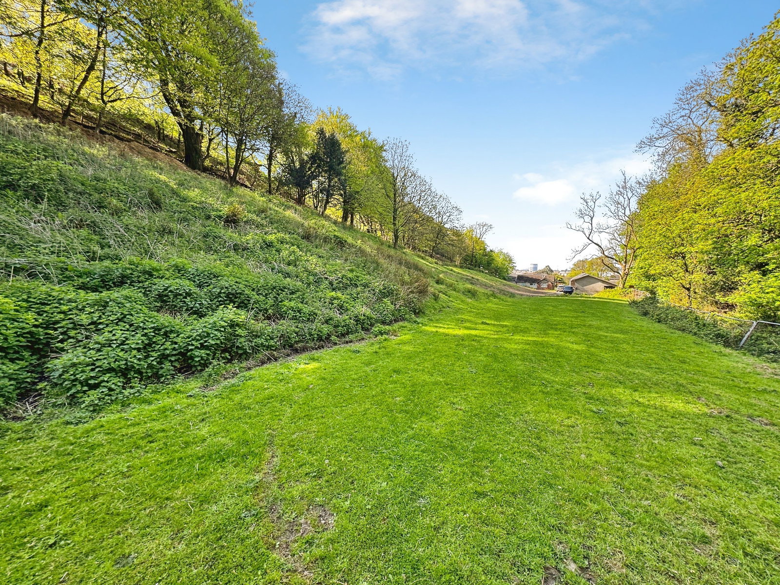 Smallholding in Port Talbot