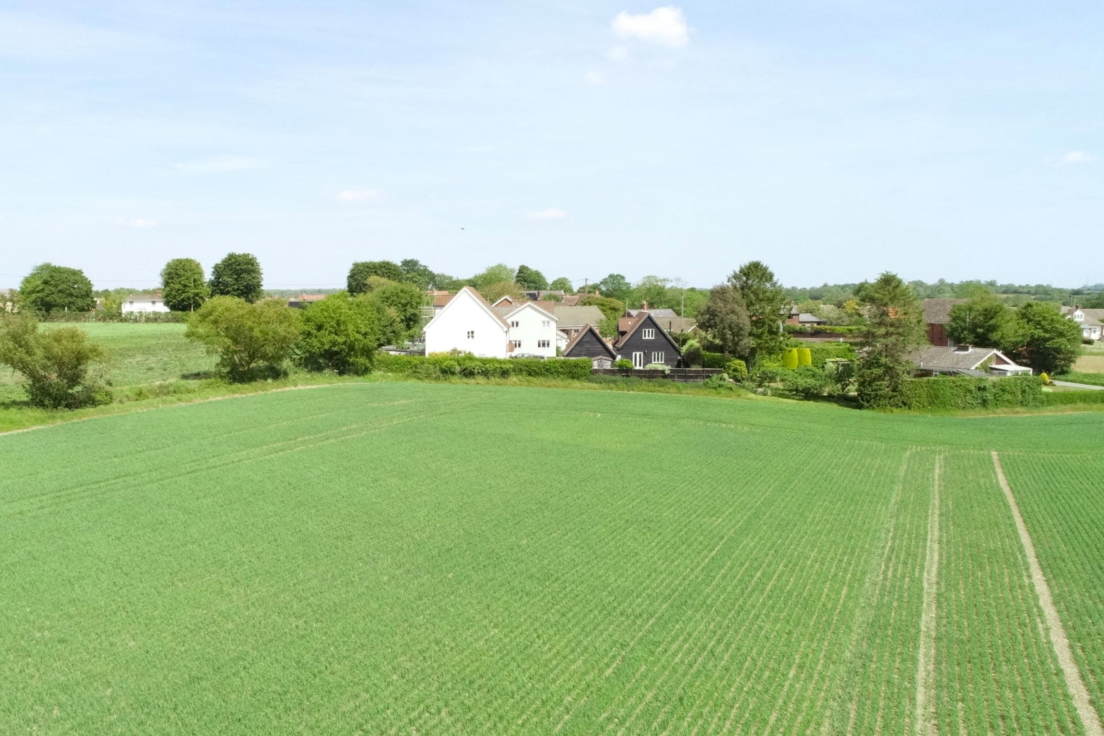 Detached House in Newmarket